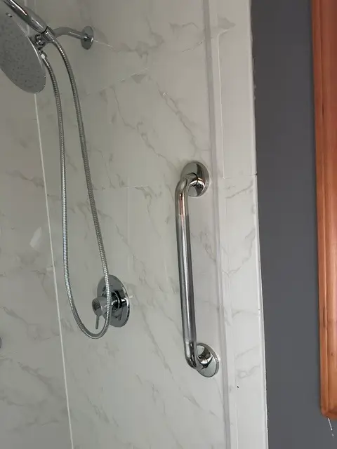 Grab Bar Picture 5